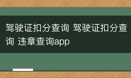 驾驶证扣分查询 驾驶证扣分查询 违章查询app