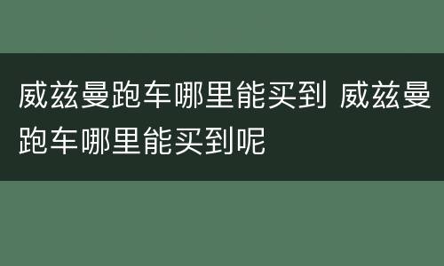 威兹曼跑车哪里能买到 威兹曼跑车哪里能买到呢