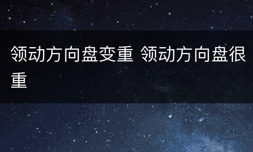 领动方向盘变重 领动方向盘很重