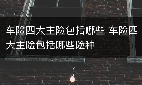 车险四大主险包括哪些 车险四大主险包括哪些险种