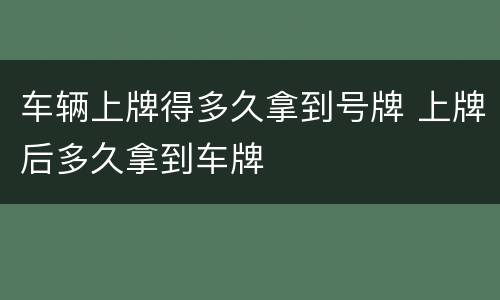 车辆上牌得多久拿到号牌 上牌后多久拿到车牌