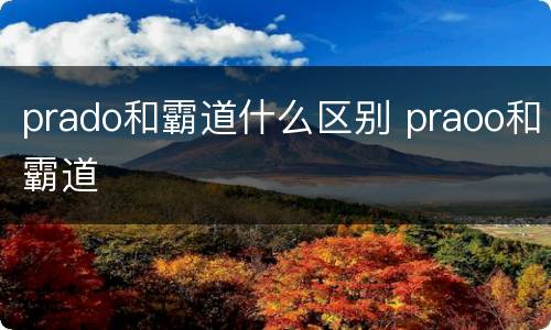 prado和霸道什么区别 praoo和霸道