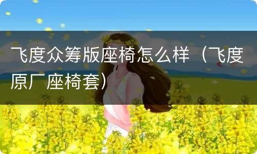 飞度众筹版座椅怎么样（飞度原厂座椅套）