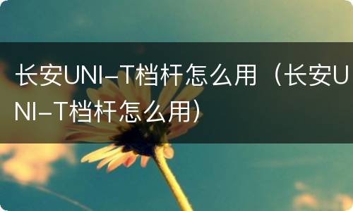 长安UNI-T档杆怎么用（长安UNI-T档杆怎么用）