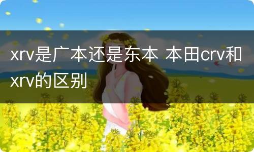 xrv是广本还是东本 本田crv和xrv的区别