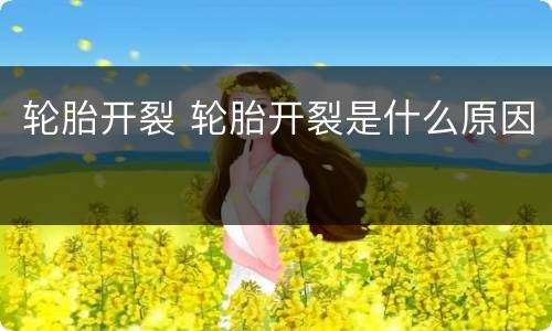 轮胎开裂 轮胎开裂是什么原因