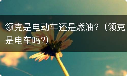 领克是电动车还是燃油?（领克是电车吗?）