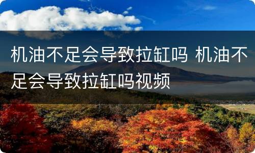 机油不足会导致拉缸吗 机油不足会导致拉缸吗视频