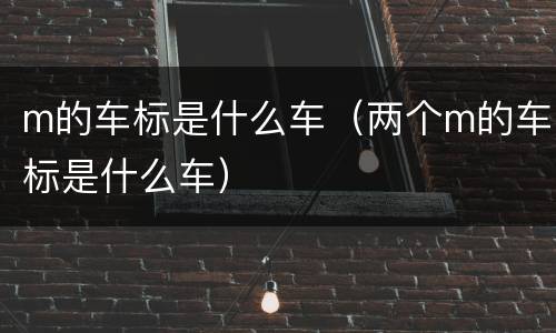 m的车标是什么车（两个m的车标是什么车）
