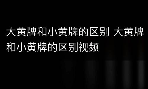 大黄牌和小黄牌的区别 大黄牌和小黄牌的区别视频