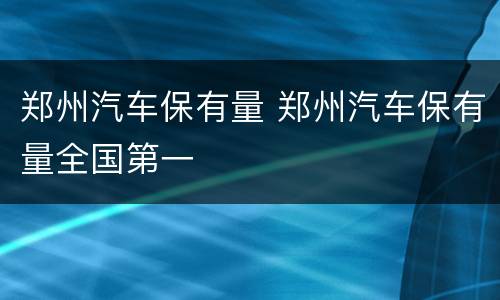 郑州汽车保有量 郑州汽车保有量全国第一