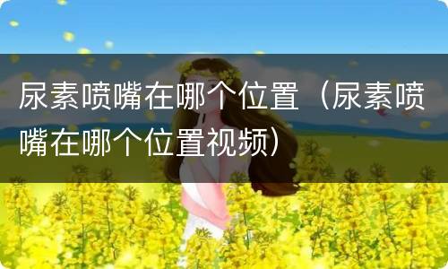 尿素喷嘴在哪个位置（尿素喷嘴在哪个位置视频）