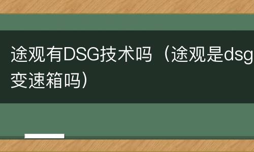 途观有DSG技术吗（途观是dsg变速箱吗）