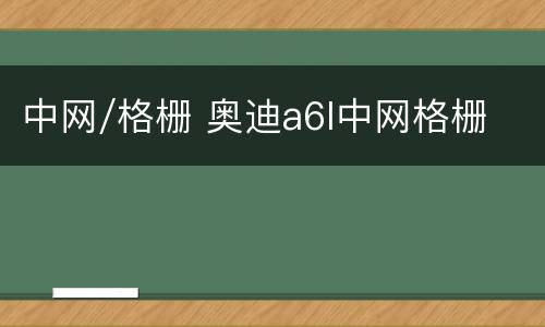 中网/格栅 奥迪a6l中网格栅