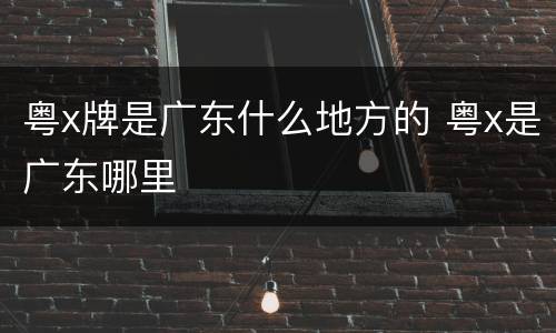 粤x牌是广东什么地方的 粤x是广东哪里