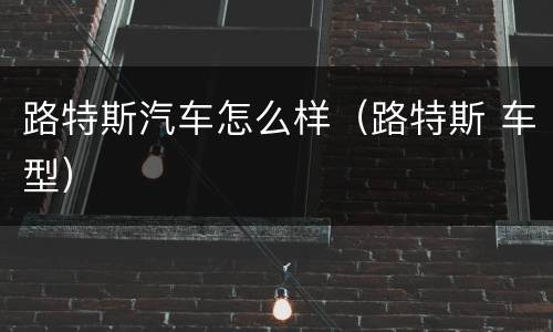 路特斯汽车怎么样（路特斯 车型）