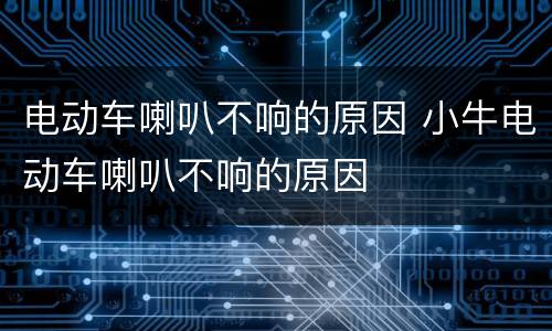 电动车喇叭不响的原因 小牛电动车喇叭不响的原因