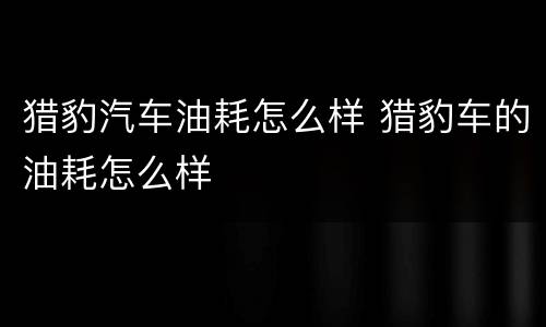 猎豹汽车油耗怎么样 猎豹车的油耗怎么样