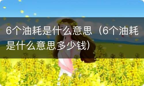6个油耗是什么意思（6个油耗是什么意思多少钱）
