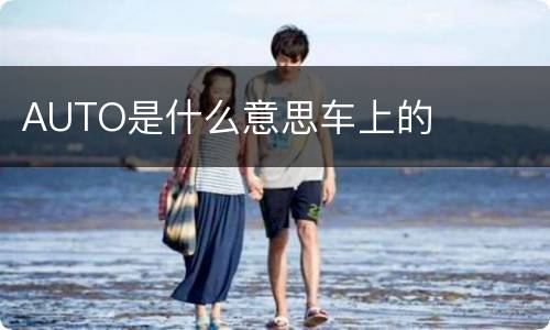 AUTO是什么意思车上的