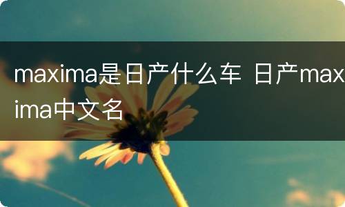 maxima是日产什么车 日产maxima中文名