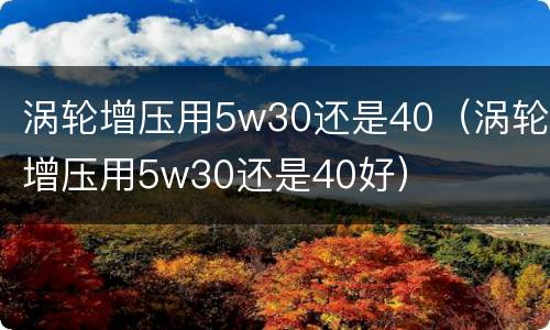 涡轮增压用5w30还是40（涡轮增压用5w30还是40好）