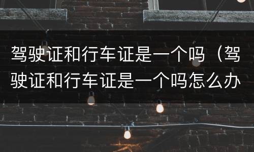 驾驶证和行车证是一个吗（驾驶证和行车证是一个吗怎么办）