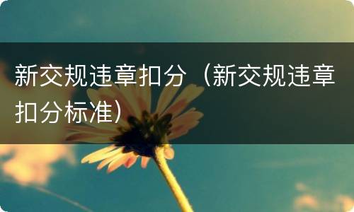 新交规违章扣分（新交规违章扣分标准）