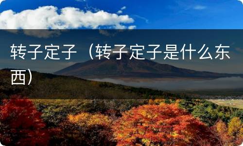 转子定子（转子定子是什么东西）