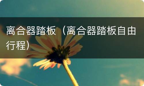 离合器踏板（离合器踏板自由行程）