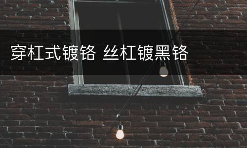 穿杠式镀铬 丝杠镀黑铬