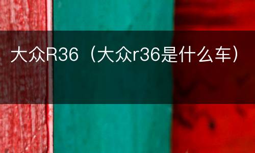 大众R36（大众r36是什么车）