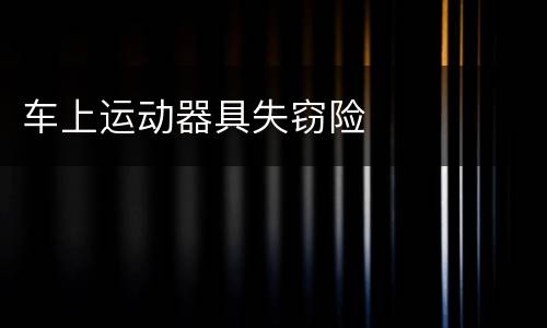 车上运动器具失窃险
