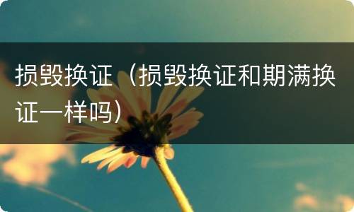损毁换证（损毁换证和期满换证一样吗）