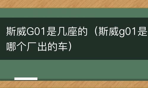 斯威G01是几座的（斯威g01是哪个厂出的车）