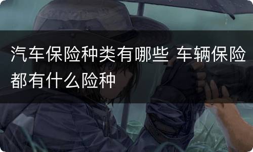 汽车保险种类有哪些 车辆保险都有什么险种