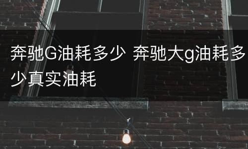 奔驰G油耗多少 奔驰大g油耗多少真实油耗