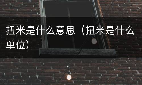 扭米是什么意思（扭米是什么单位）