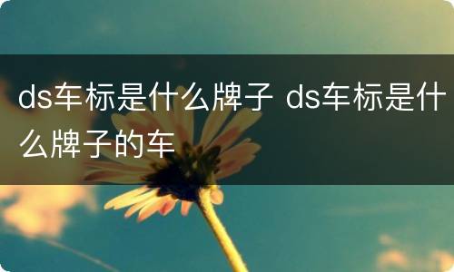 ds车标是什么牌子 ds车标是什么牌子的车