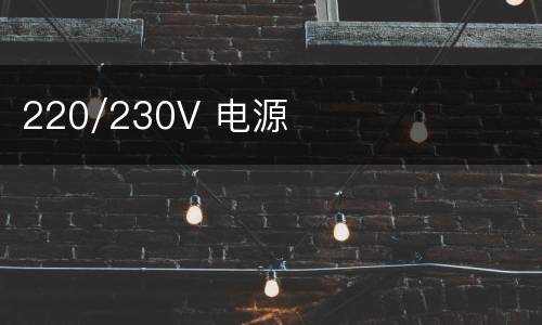220/230V 电源