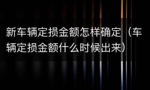 新车辆定损金额怎样确定（车辆定损金额什么时候出来）