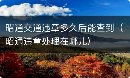 昭通交通违章多久后能查到（昭通违章处理在哪儿）