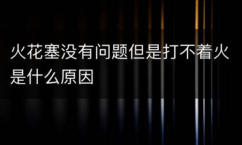 火花塞没有问题但是打不着火是什么原因
