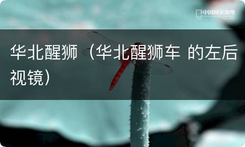 华北醒狮（华北醒狮车 的左后视镜）