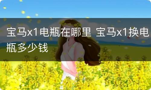 宝马x1电瓶在哪里 宝马x1换电瓶多少钱
