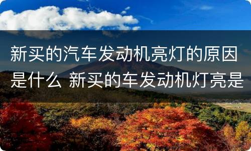 新买的汽车发动机亮灯的原因是什么 新买的车发动机灯亮是什么问题
