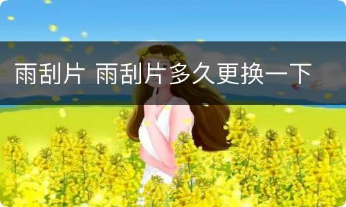 雨刮片 雨刮片多久更换一下
