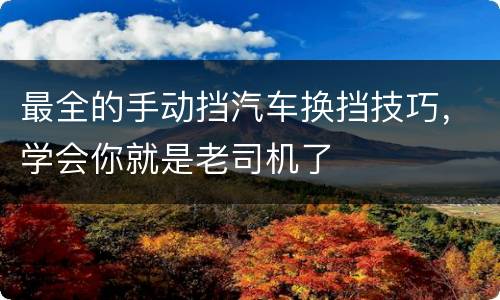 最全的手动挡汽车换挡技巧，学会你就是老司机了