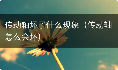 传动轴坏了什么现象（传动轴怎么会坏）