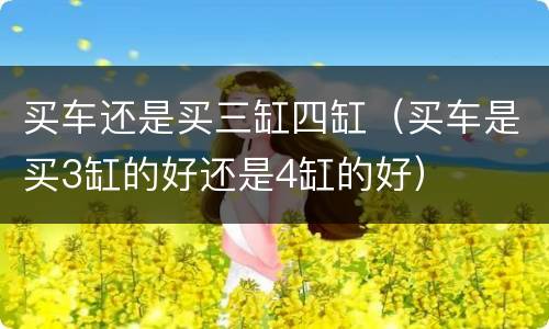 买车还是买三缸四缸（买车是买3缸的好还是4缸的好）